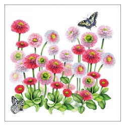 Servilleta 33cmx33cm-Bellis