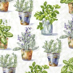 Servilleta 33cmx33cm Hierbas Aromáticas