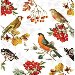 Servilleta 33cmx33cm Pájaros