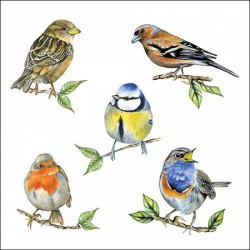 Servilleta 33cmx33cm Pájaros 2