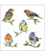 Servilleta 33cmx33cm Pájaros 2