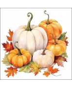 Servilleta 33cmx33cm temporada de calabazas