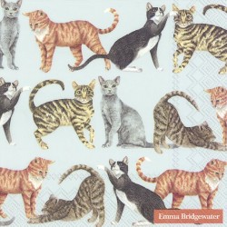Servilleta 33cmx33cm Gatos