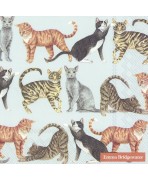 Servilleta 33cmx33cm Gatos