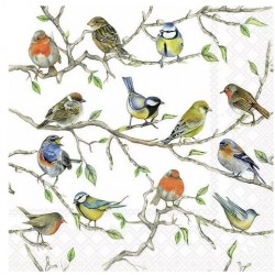Servilletas 33x33 cm - Encuentro de pájaros