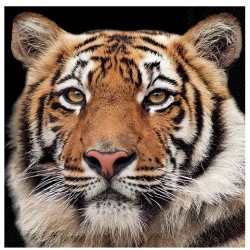 Servilletas 33x33 cm - tigre de Bengala