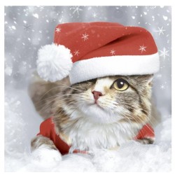 Servilletas 33x33 cm -gatito navidad