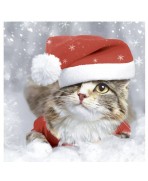 Servilletas 33x33 cm -gatito navidad
