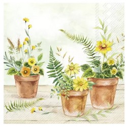 Servilletas 25x25 cm -PLANTA EN MACETAS verde claro