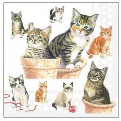 Servilletas 33x33 cm gatitos lindos