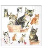 Servilletas 33x33 cm gatitos lindos
