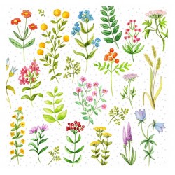 Servilleta 33cmx33cm flores