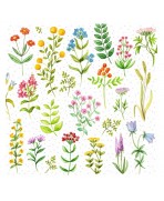 Servilleta 33cmx33cm flores