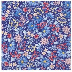 Servilleta 33cmx33cm nina azul