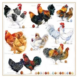 Servilleta 33cmx33cm Poulets