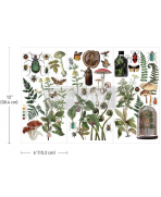 Transfer Botanical Archives Incluye tres hojas únicas de 15 cm x 30 cm. Re-Design with Prima