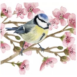 Servilleta 33cmx33cm Oiseau Printemps