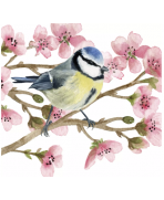 Servilleta 33cmx33cm Oiseau Printemps
