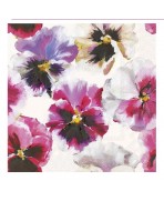 Servilleta 33cmx33cm-Viola