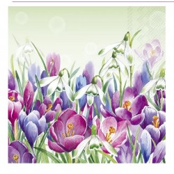 Servilleta 33cmx33cm-CROCUS verde claro