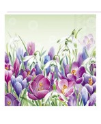 Servilleta 33cmx33cm-CROCUS verde claro