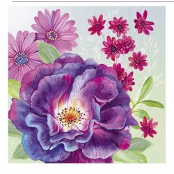 Servilleta 33cmx33cm Asters