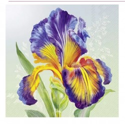 Servilleta 33cmx33cm Iris