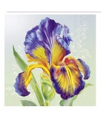 Servilleta 33cmx33cm Iris