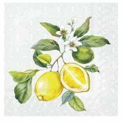 Servilleta 25x25 cm -LIMÓN menta