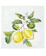 Servilleta 25x25 cm -LIMÓN menta