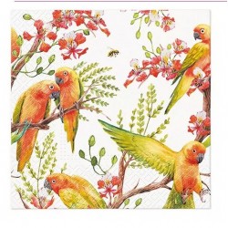 Servilleta 33cmx33cm- Aves exóticas