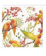 Servilleta 33cmx33cm- Aves exóticas