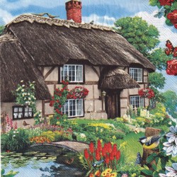 SERVILLETA 33X33  COUNTRYFIELD