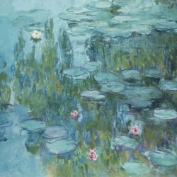 SERVILLETA 33X33 NYMPHEAS