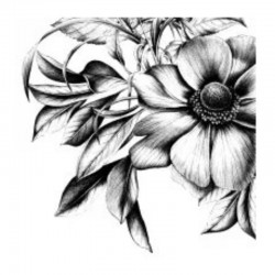 SERVILLETA 33X33 FLOR EN NEGRO