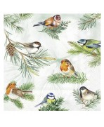 Servilleta 33X33 pájaros encantadores.