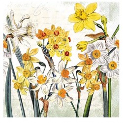 33cmx33cm Servilleta Narcisos