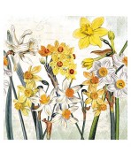 33cmx33cm Servilleta Narcisos