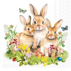 Servilleta 33cmx33cm-Familia de conejos