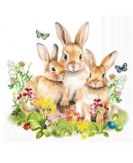 Servilleta 33cmx33cm-Familia de conejos