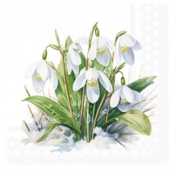 Servilleta 33x33 cm -Campanillas de invierno en flor