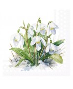 Servilleta 33x33 cm -Campanillas de invierno en flor