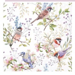 Servilletas 33x33 cm -pájaros ocupados