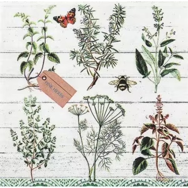 Servilletas 33x33 cm  Estudio Floral - Identificación de Plantas