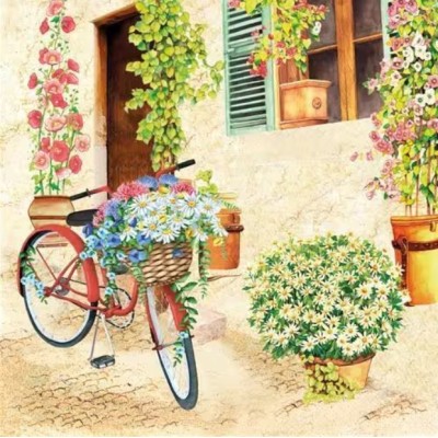 Servilletas 33x33 cm  Bicicleta de flores