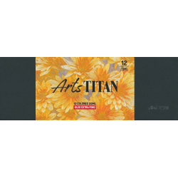 Caja de 12 óleos extrafinos 20 ml Titan