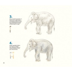 COMO SON LOS ANIMALES Y COMO DIBUJARLOS CON LAPICES DE COLOR