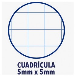 Cuadernos A4 microperforados 160 H 5X Tapa extradura Enri