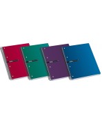 Cuadernos A4 microperforados 160 H 5X Tapa extradura Enri