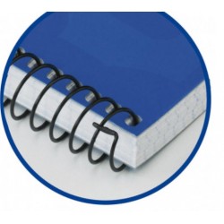 Cuaderno Fº Tapa de Plástico - Espiral - 4x4 con margen - 80 Hojas - Verde. Oxford